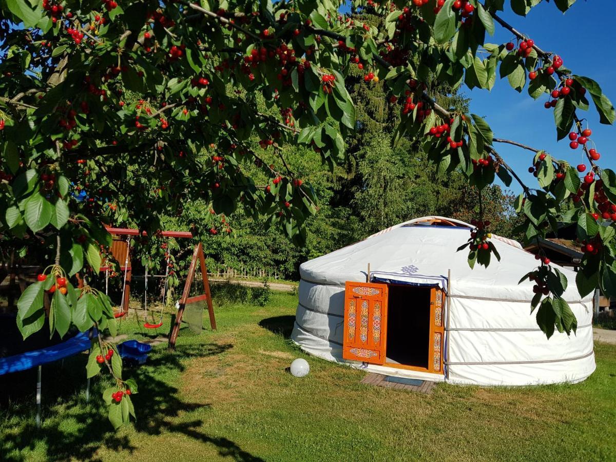 Pension New Nomads Zesch Extérieur photo
